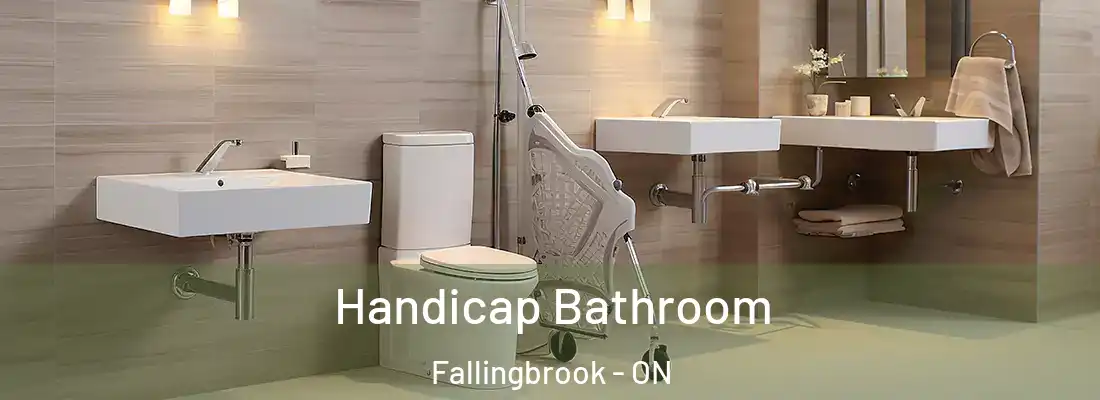  Handicap Bathroom Fallingbrook - ON