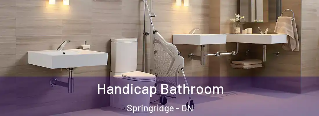 Handicap Bathroom Springridge - ON