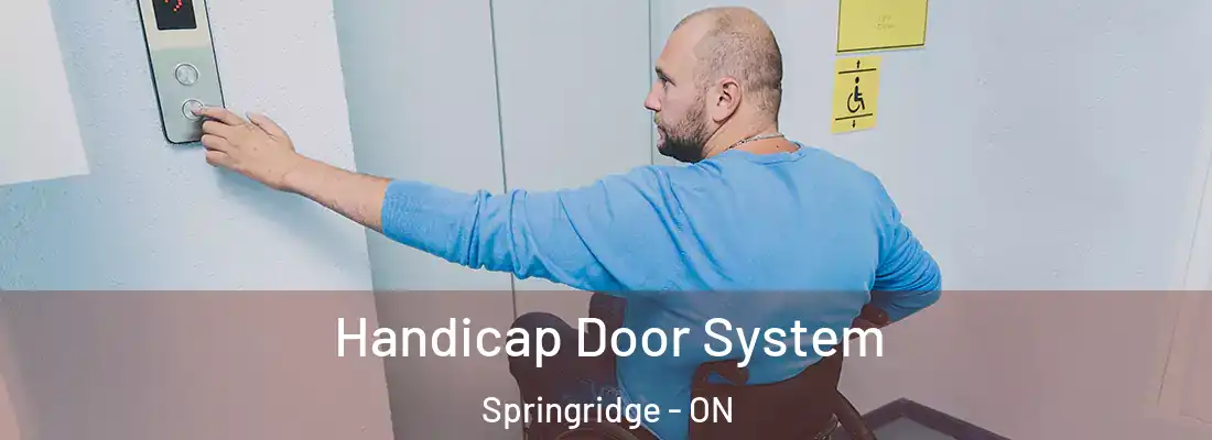  Handicap Door System Springridge - ON