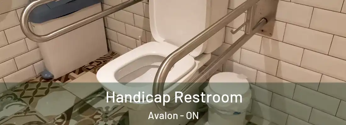  Handicap Restroom Avalon - ON