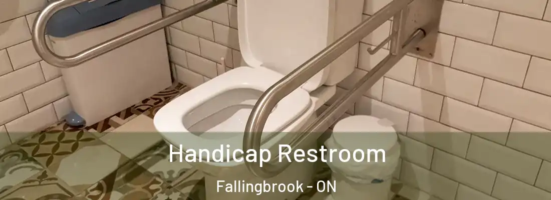  Handicap Restroom Fallingbrook - ON
