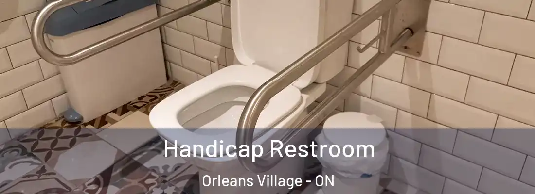  Handicap Restroom Orleans Village - ON