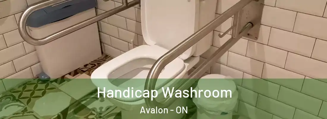  Handicap Washroom Avalon - ON