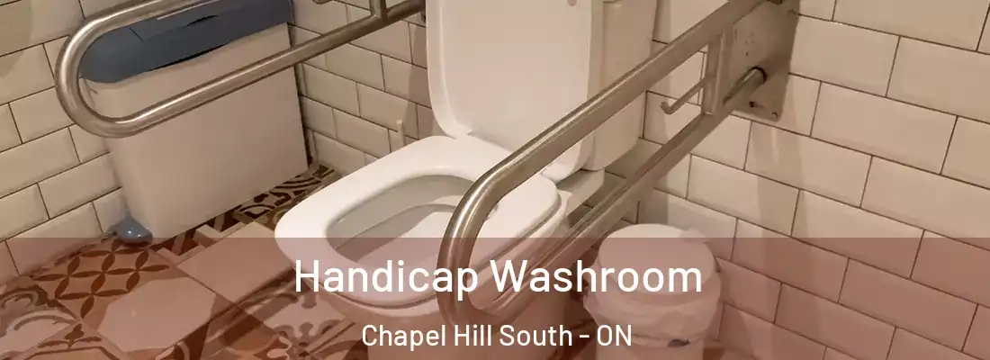  Handicap Washroom Chapel Hill South - ON