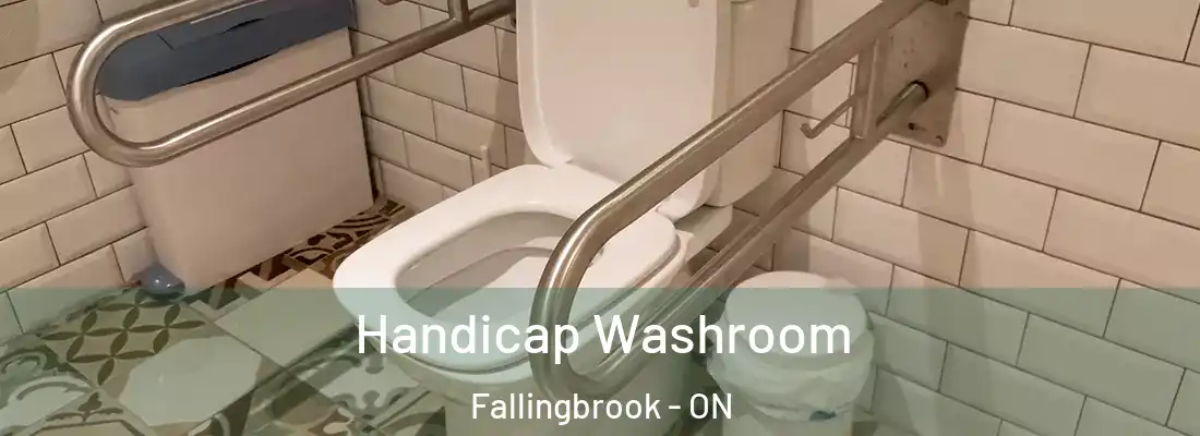  Handicap Washroom Fallingbrook - ON