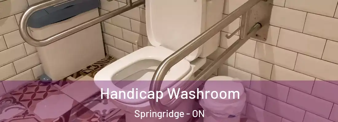  Handicap Washroom Springridge - ON