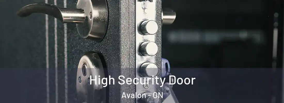  High Security Door Avalon - ON