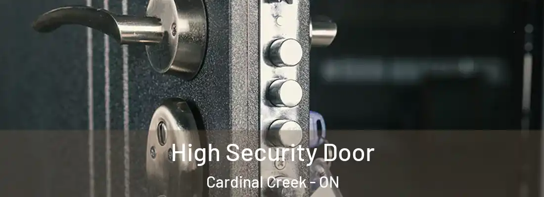  High Security Door Cardinal Creek - ON