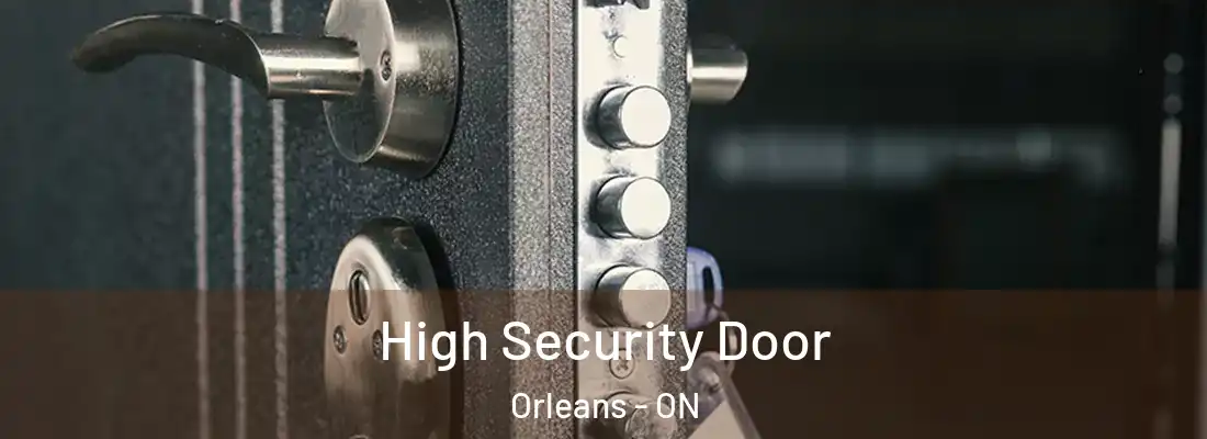  High Security Door Orleans - ON