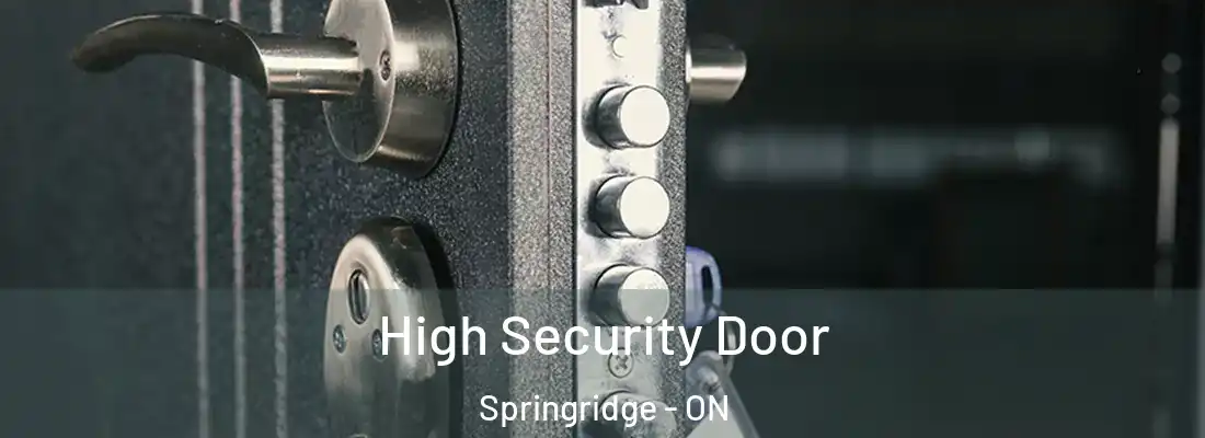  High Security Door Springridge - ON