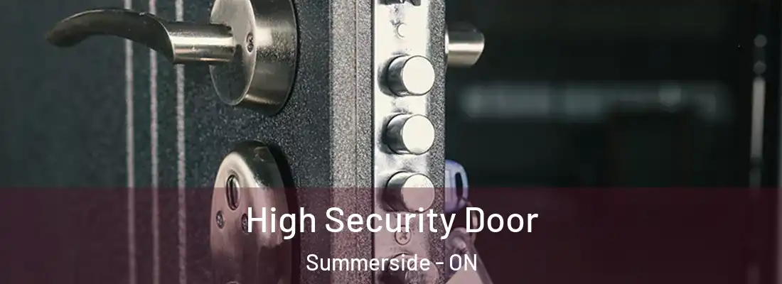  High Security Door Summerside - ON