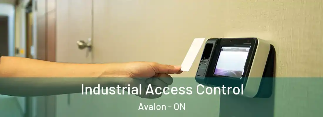  Industrial Access Control Avalon - ON