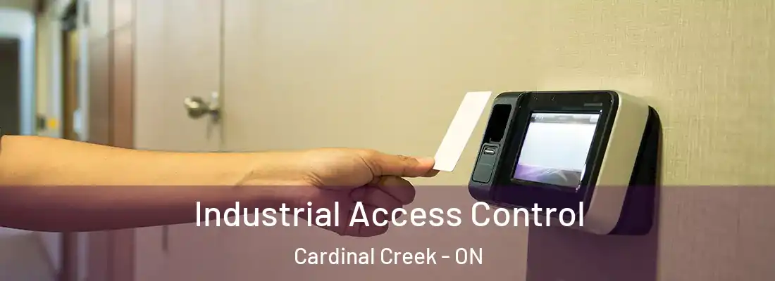  Industrial Access Control Cardinal Creek - ON