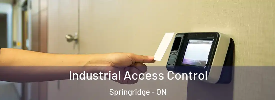  Industrial Access Control Springridge - ON
