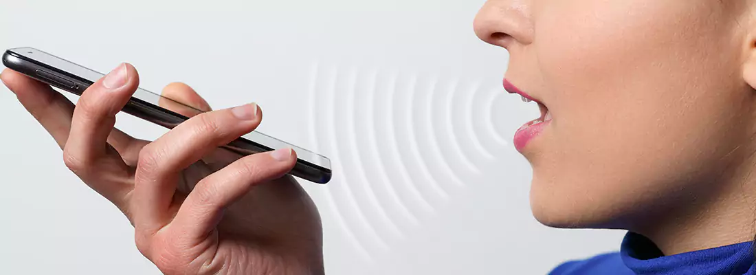 Residential and Commercial Voice Recognition Access Solutions in Queenswood Village, ON