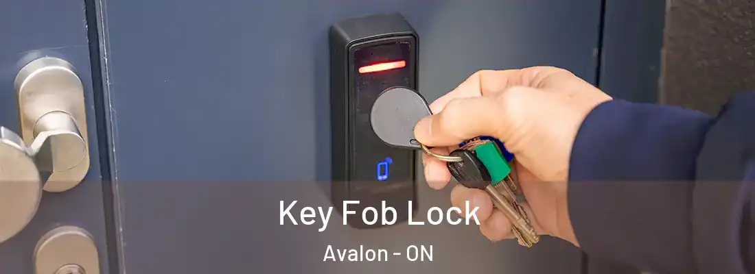  Key Fob Lock Avalon - ON