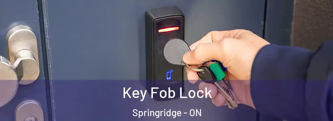  Key Fob Lock Springridge - ON