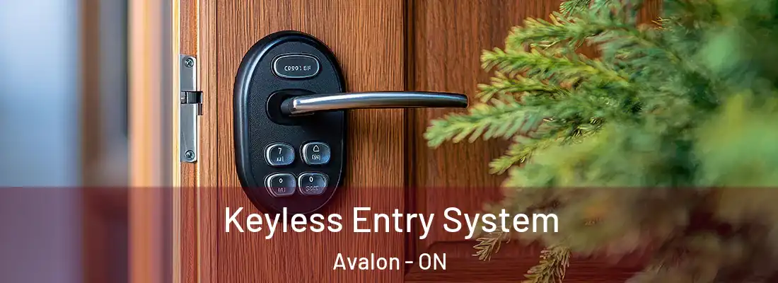  Keyless Entry System Avalon - ON