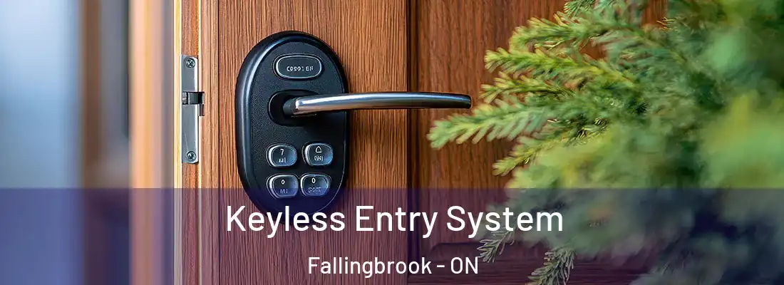  Keyless Entry System Fallingbrook - ON