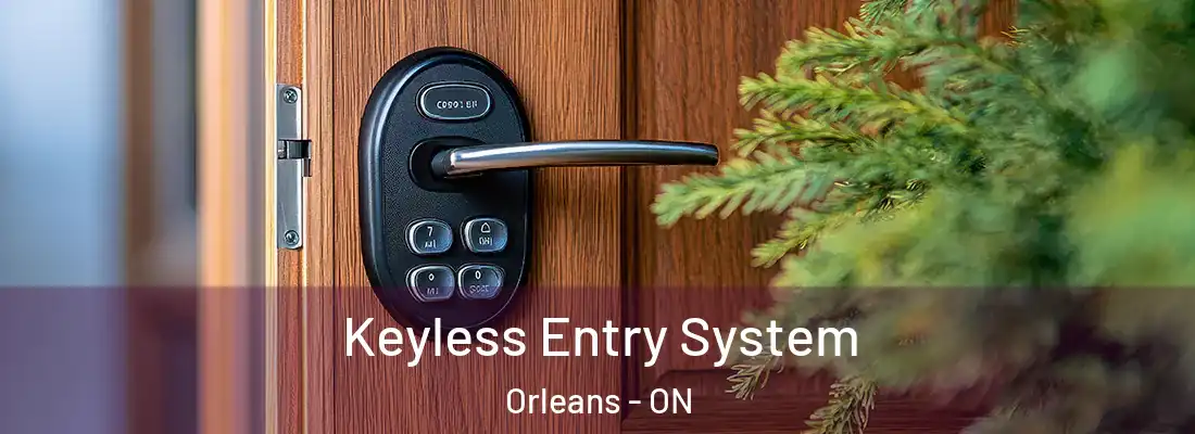  Keyless Entry System Orleans - ON