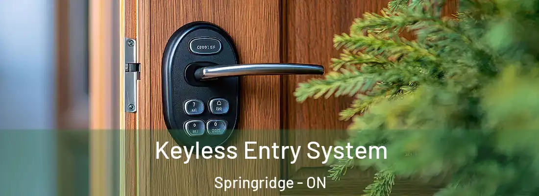  Keyless Entry System Springridge - ON