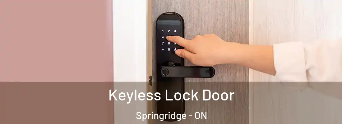  Keyless Lock Door Springridge - ON