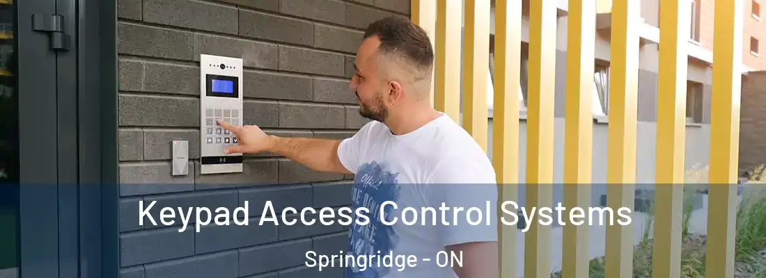  Keypad Access Control Systems Springridge - ON