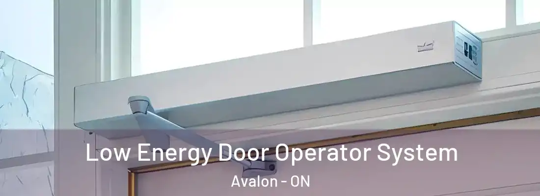 Low Energy Door Operator System Avalon - ON
