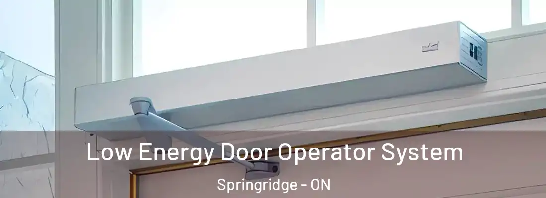  Low Energy Door Operator System Springridge - ON