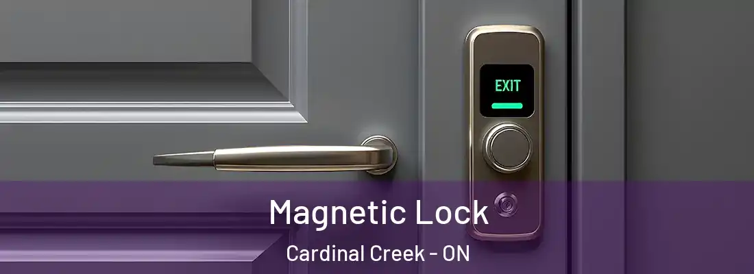  Magnetic Lock Cardinal Creek - ON