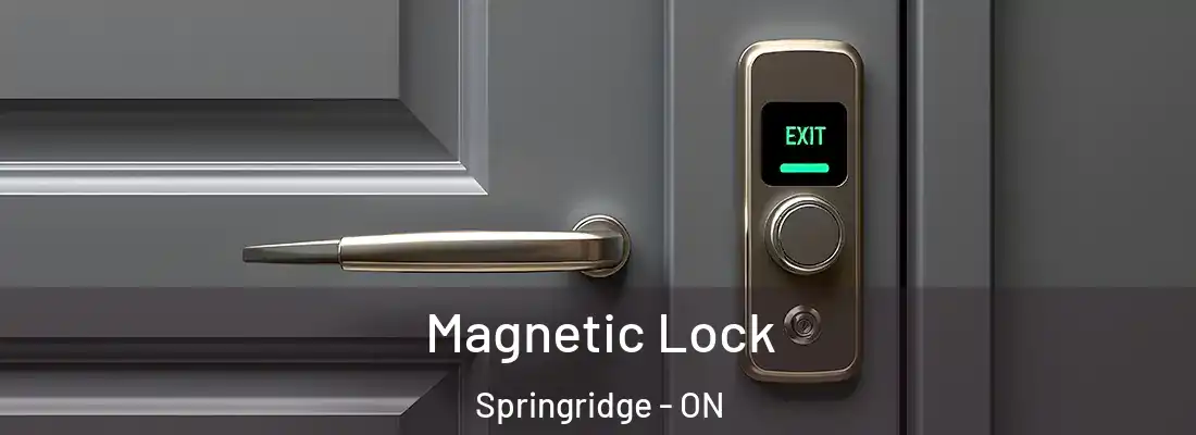  Magnetic Lock Springridge - ON