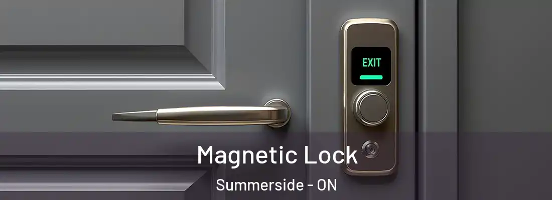  Magnetic Lock Summerside - ON