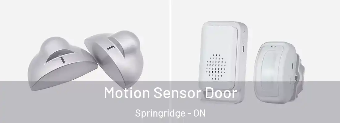  Motion Sensor Door Springridge - ON