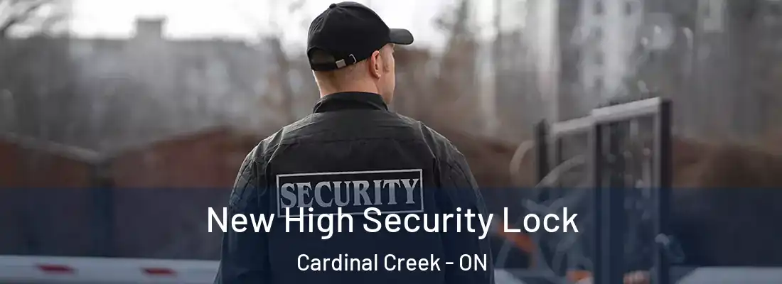  New High Security Lock Cardinal Creek - ON