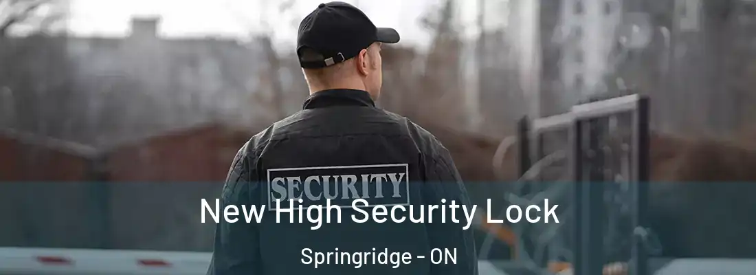  New High Security Lock Springridge - ON