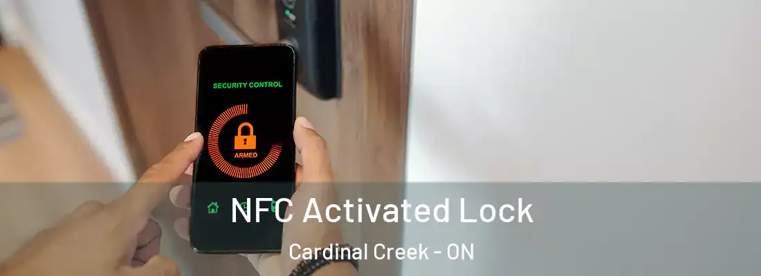  NFC Activated Lock Cardinal Creek - ON