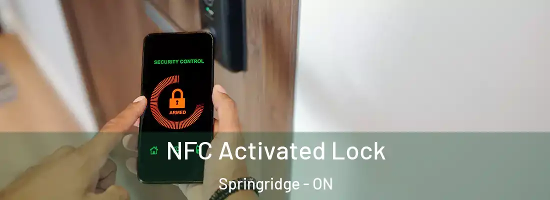  NFC Activated Lock Springridge - ON