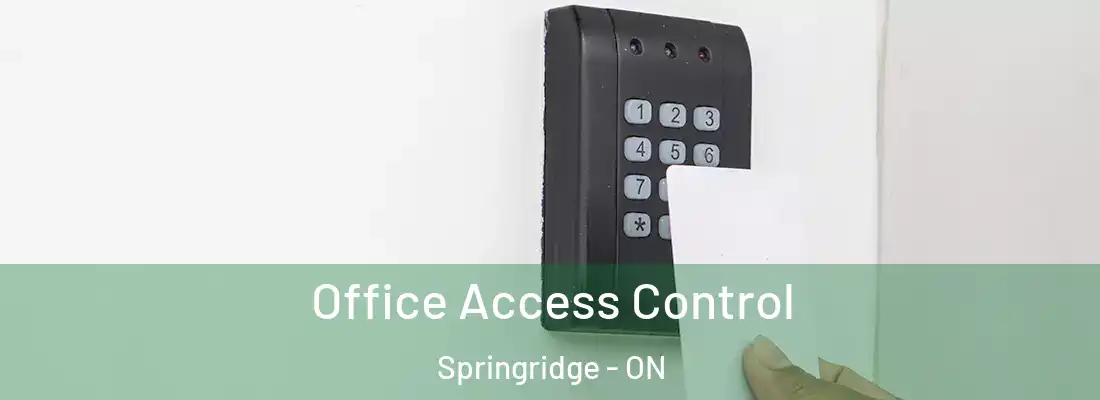 Office Access Control Springridge - ON