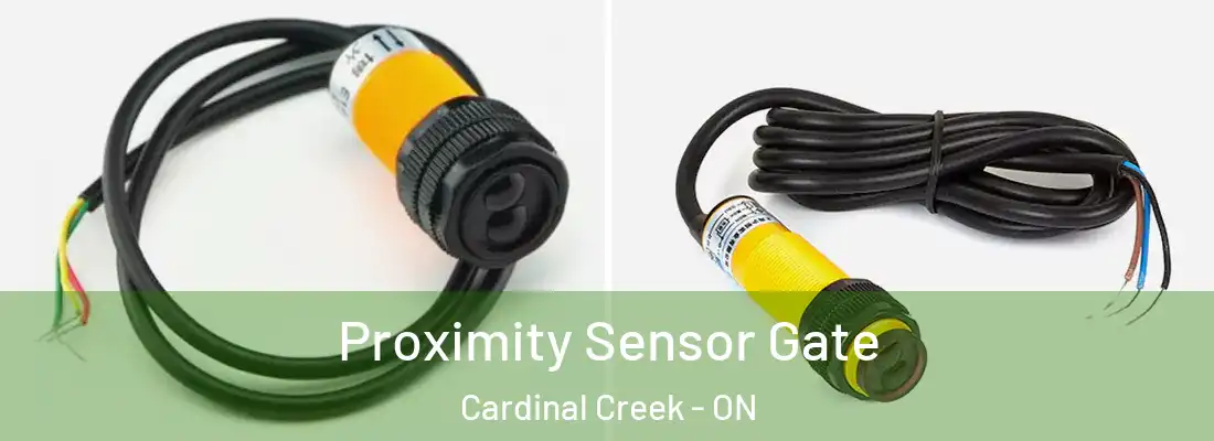  Proximity Sensor Gate Cardinal Creek - ON