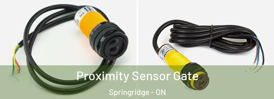  Proximity Sensor Gate Springridge - ON