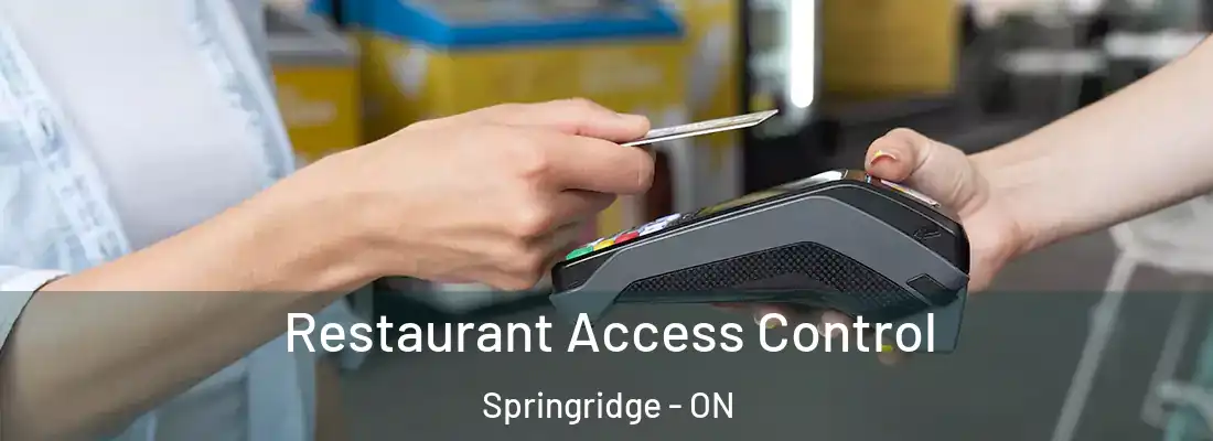  Restaurant Access Control Springridge - ON
