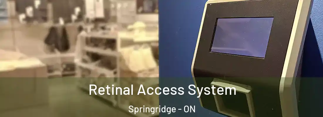  Retinal Access System Springridge - ON