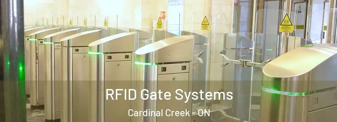  RFID Gate Systems Cardinal Creek - ON
