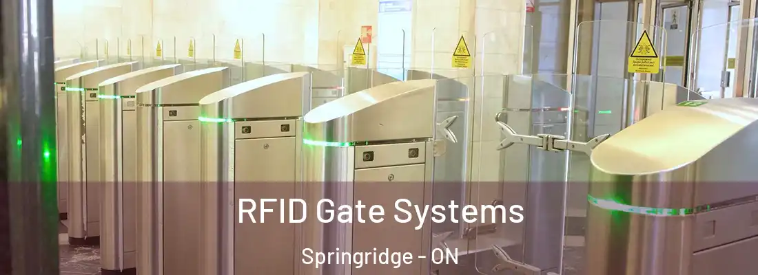  RFID Gate Systems Springridge - ON