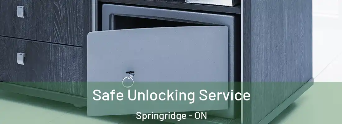  Safe Unlocking Service Springridge - ON
