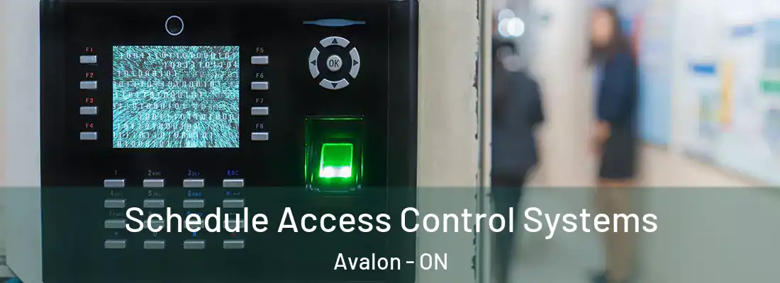 Schedule Access Control Systems Avalon - ON