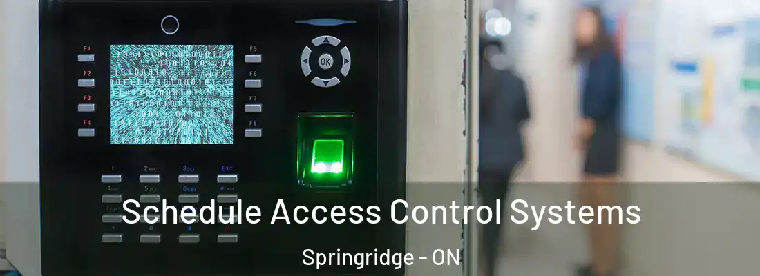  Schedule Access Control Systems Springridge - ON