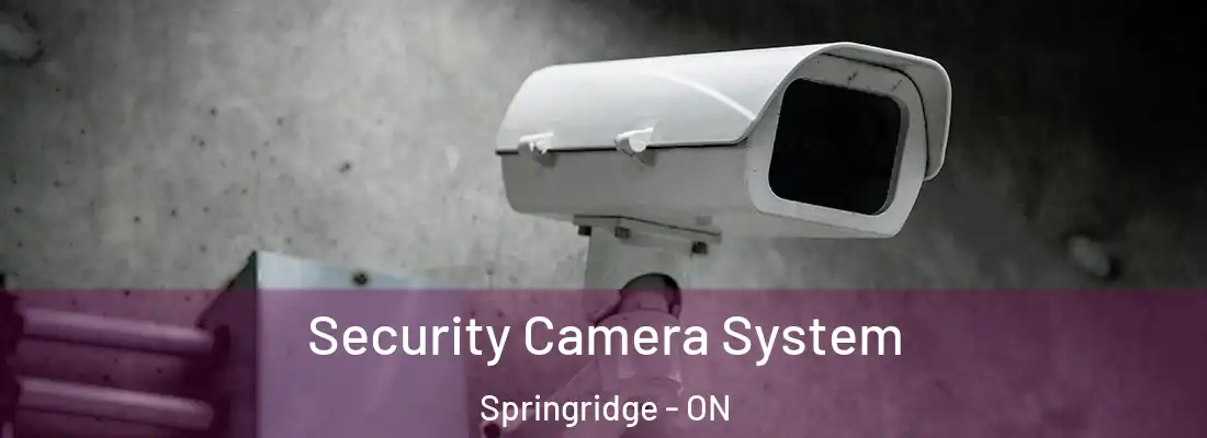  Security Camera System Springridge - ON