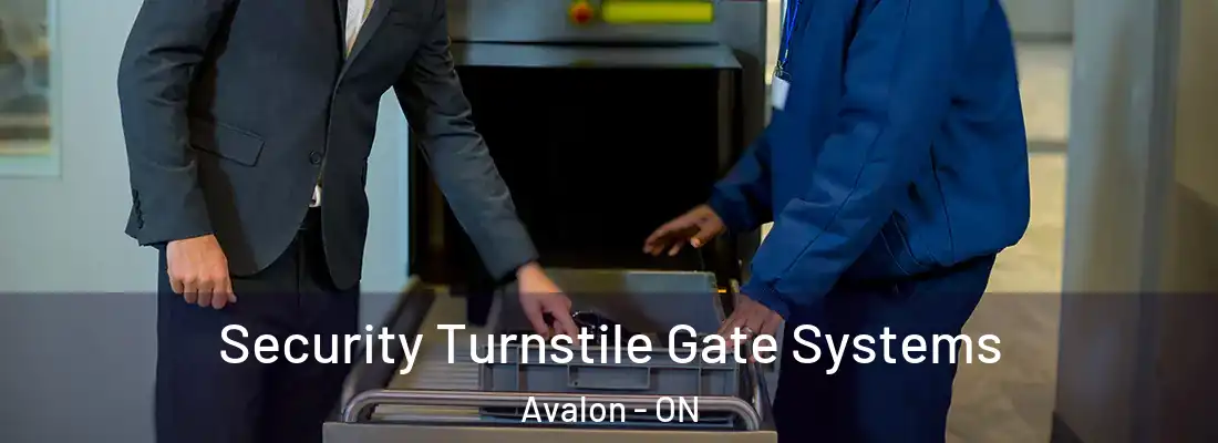 Security Turnstile Gate Systems Avalon - ON