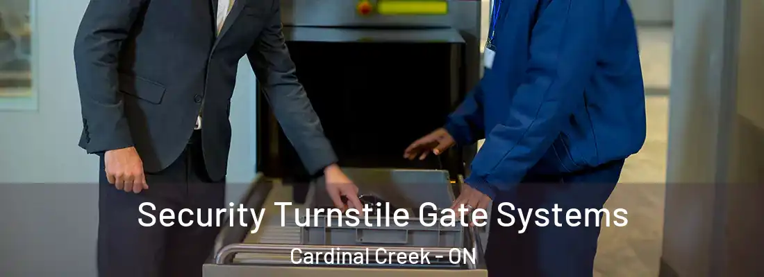  Security Turnstile Gate Systems Cardinal Creek - ON